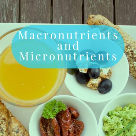 Macronutrients and Micronutrients