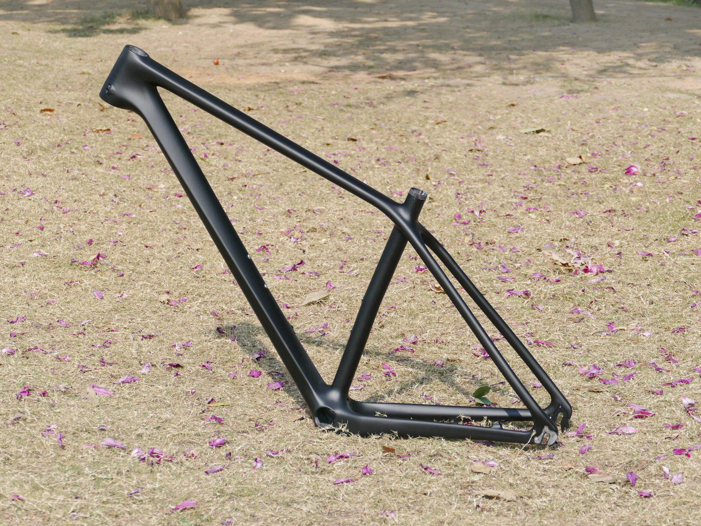 FR-706 New Arrival Full Carbon UD Matt 29ER Mountain Bike Bicycle MTB  Cycling Frame 15.5