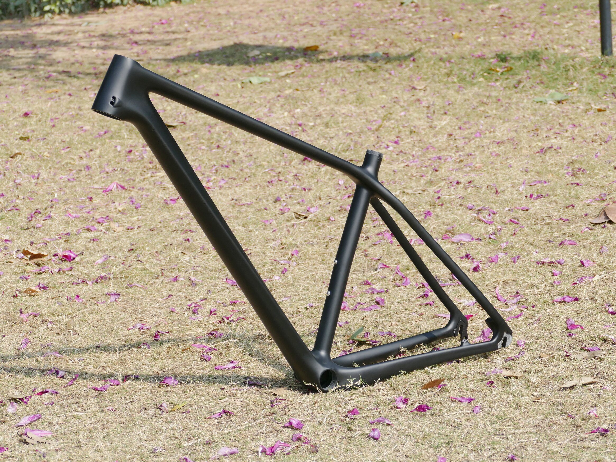 FR-706 New Arrival Full Carbon UD Matt 29ER Mountain Bike Bicycle MTB  Cycling Frame 15.5