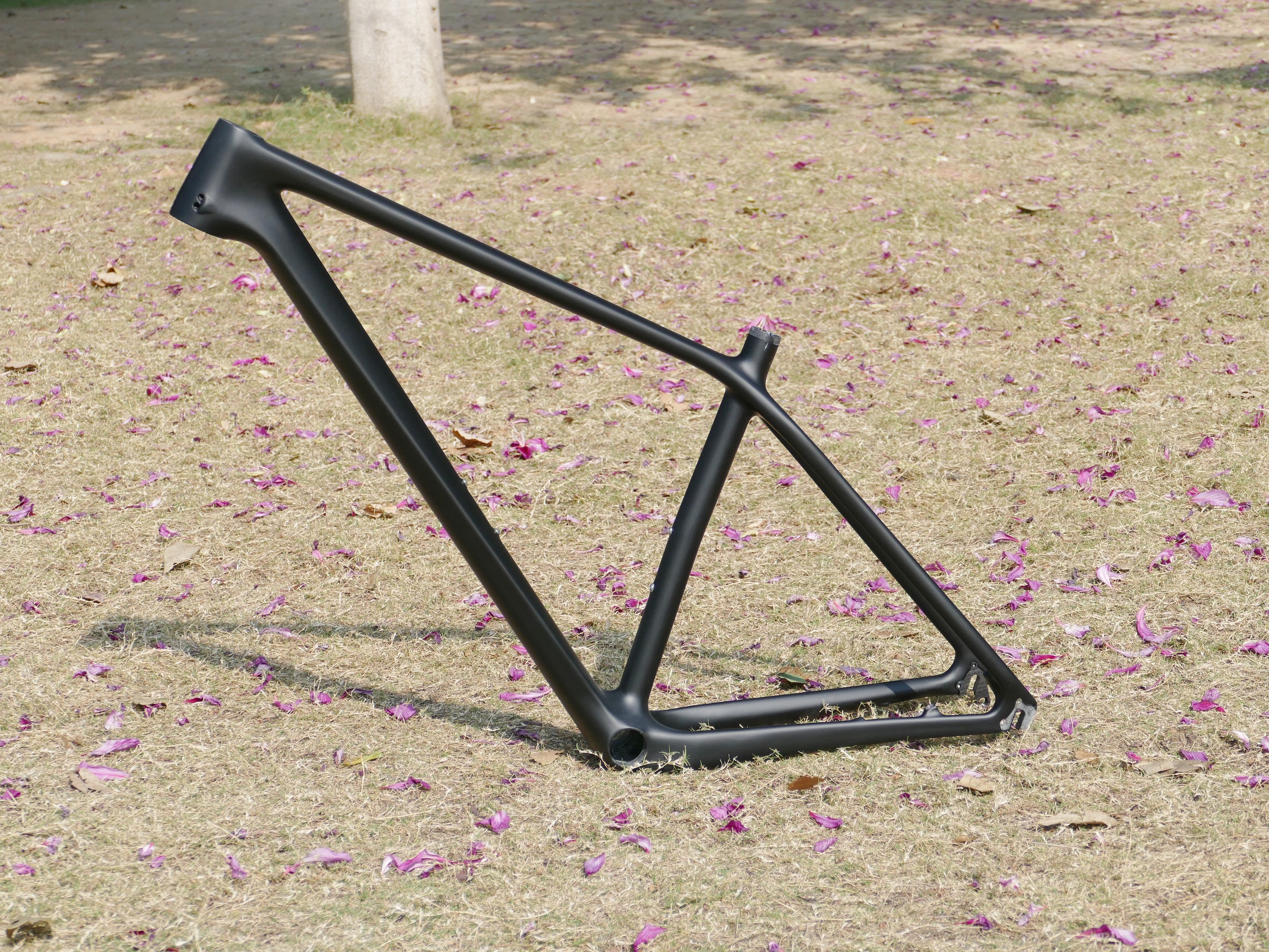 FR-706 New Arrival Full Carbon UD Matt 29ER Mountain Bike Bicycle MTB  Cycling Frame 15.5